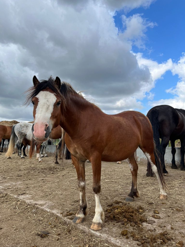 AnyConv.com__1452a0a7-7674-4a26-bad1-4198013cdd13