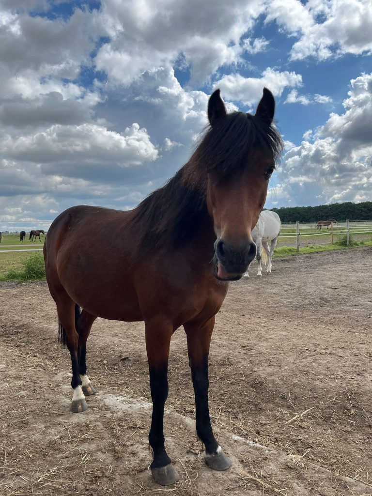 AnyConv.com__51b90f6c-559d-43ed-8ccb-5466a2d187af