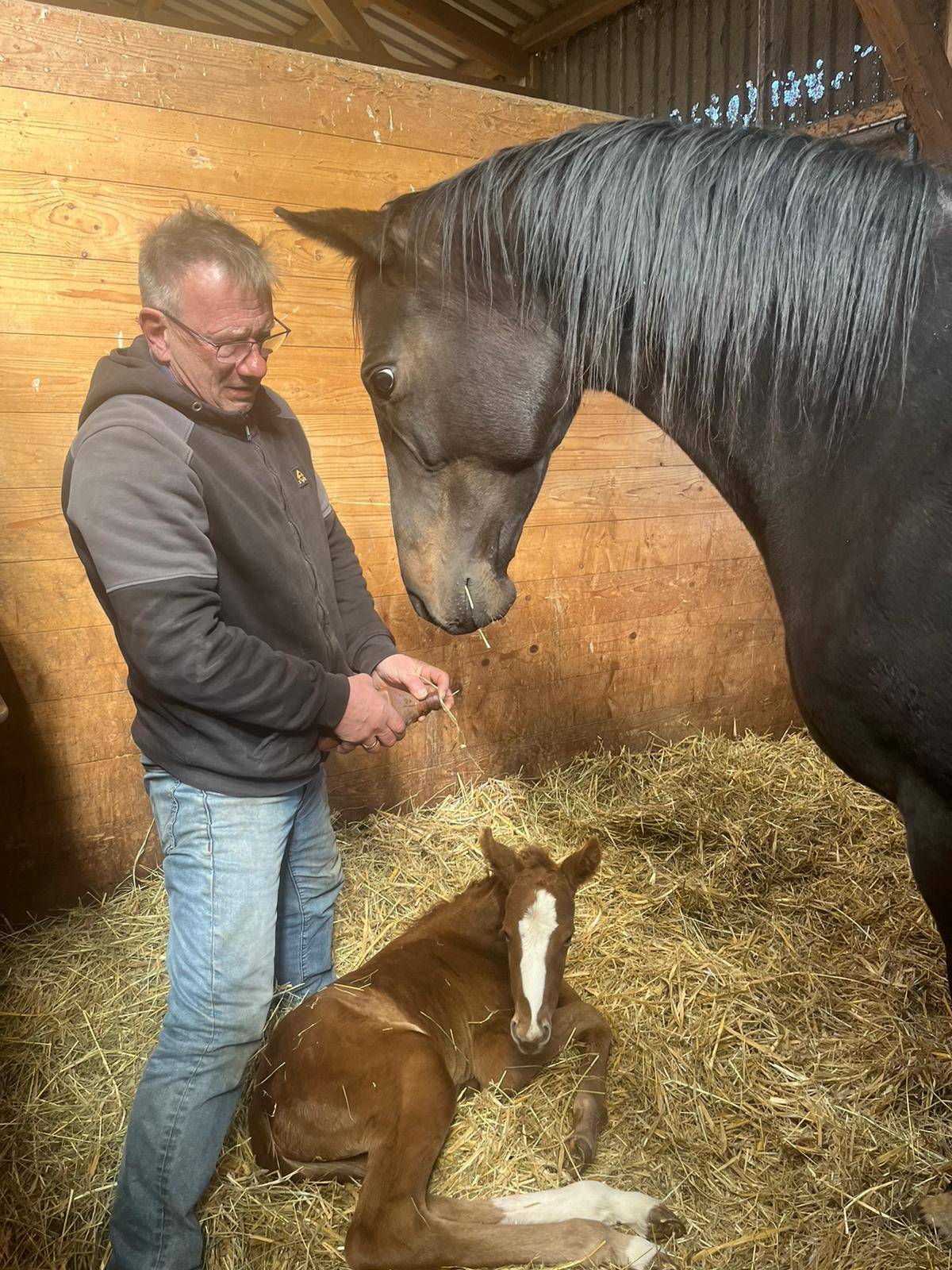 AnyConv.com__6f9b5e87-740e-4ae5-8ee6-5bb76f9ffd0c