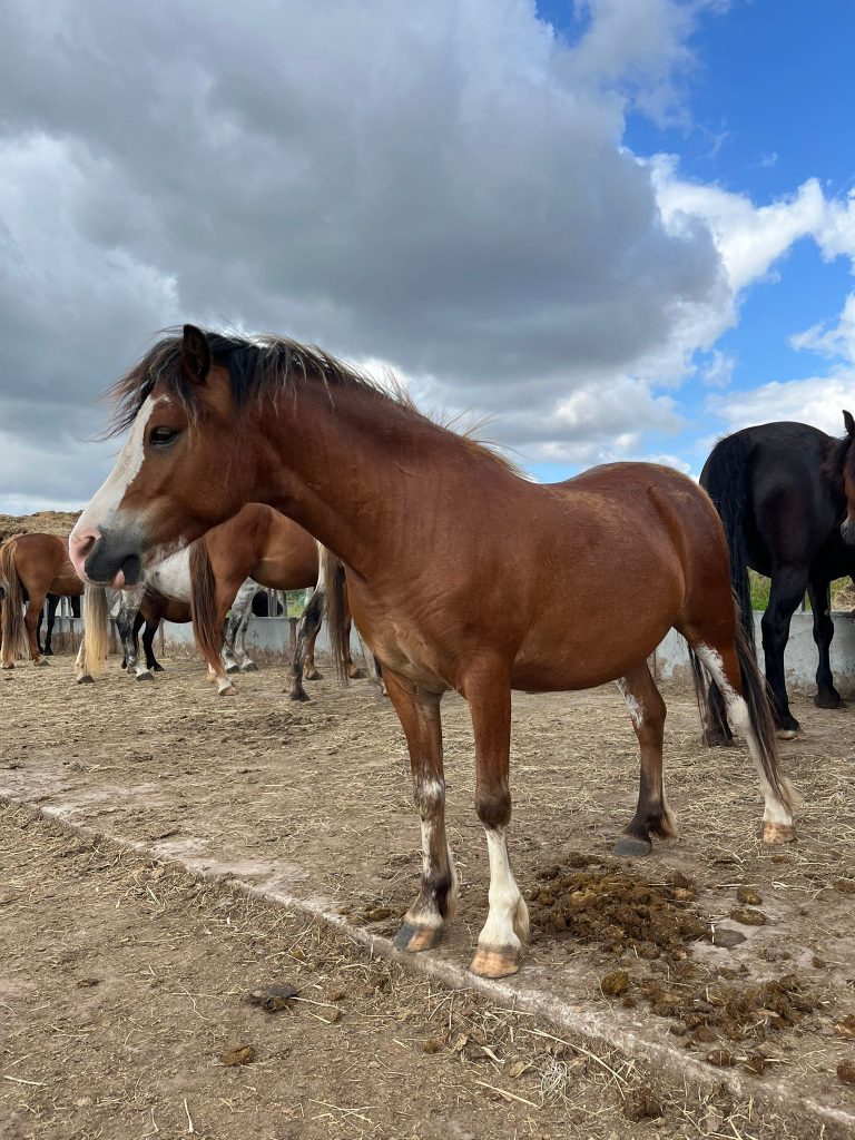 AnyConv.com__700c4ddc-2234-4822-b829-57ce51cebdde