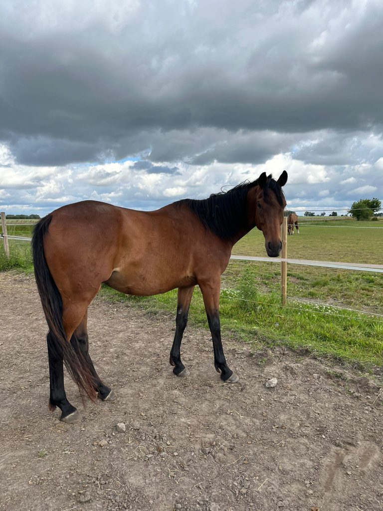 AnyConv.com__92b43599-fd1c-490f-ba3c-3608513ca9fe