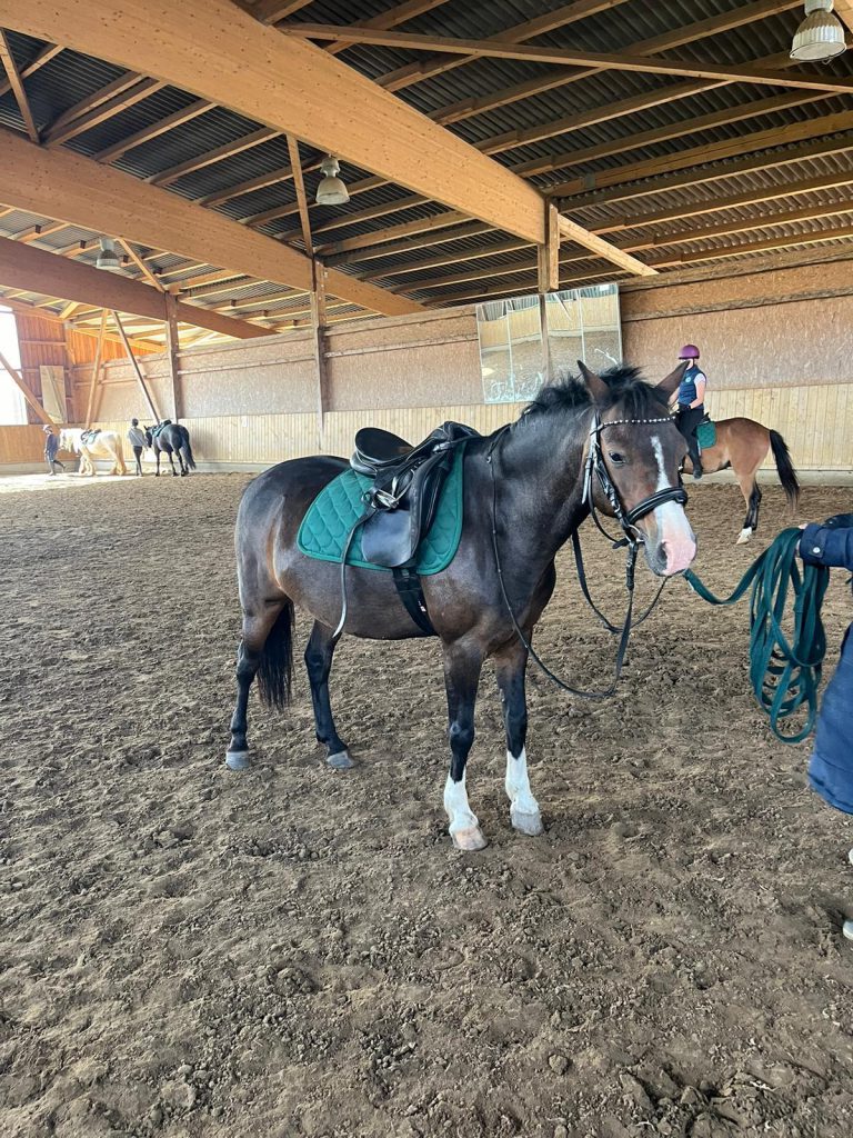 AnyConv.com__b693c2f4-8d2e-49e8-a2ba-5353358eb136