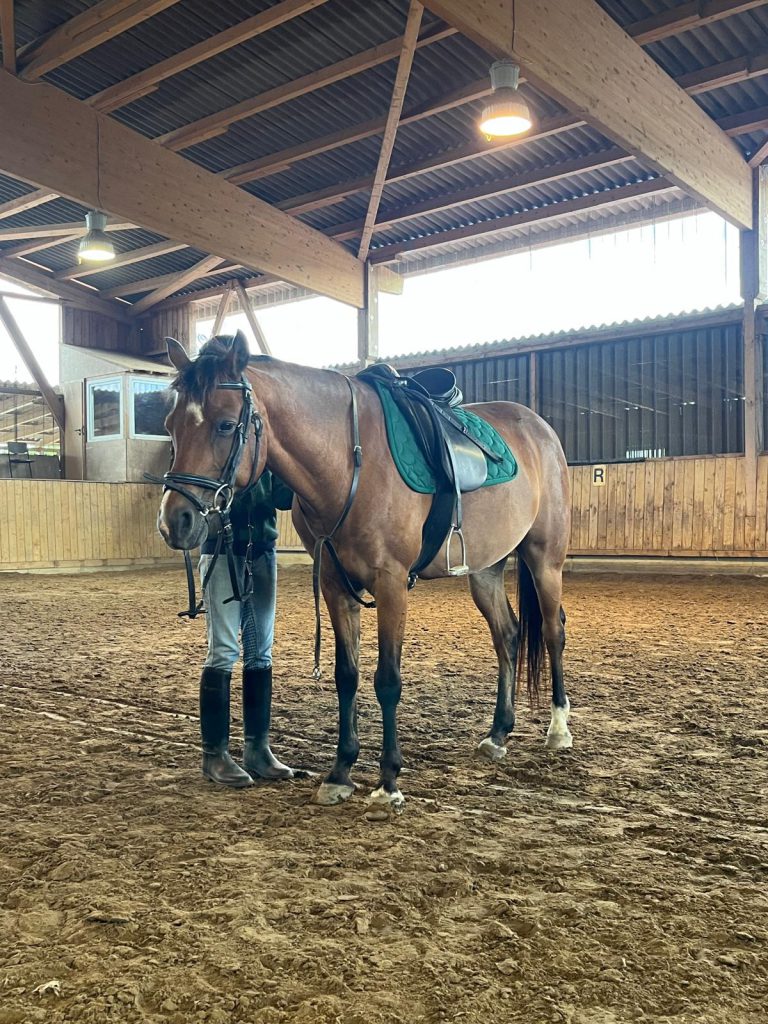 AnyConv.com__conrad (1)