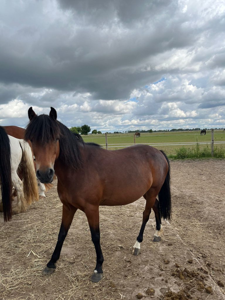 AnyConv.com__d604a183-9404-4ab1-8c8f-ee9f06fd4928