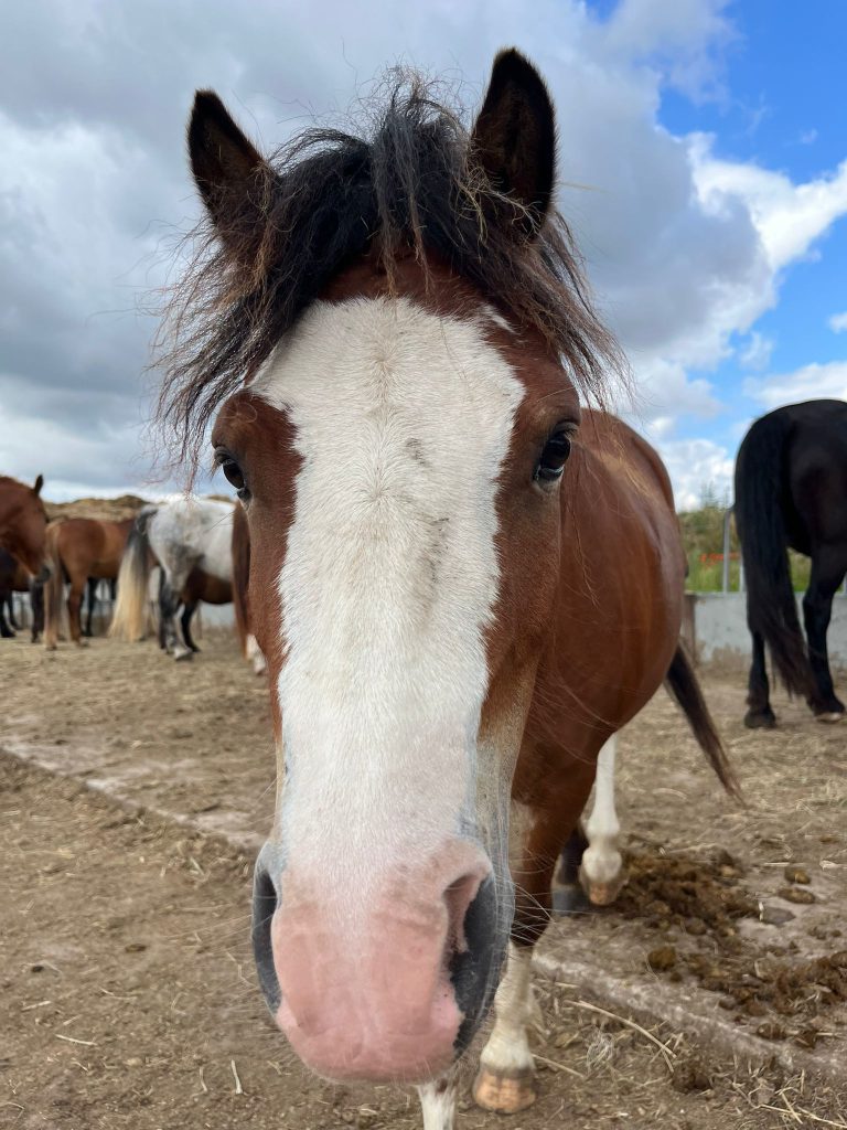 AnyConv.com__ddc4a51b-ec69-487e-ba1e-0037cceb96f9