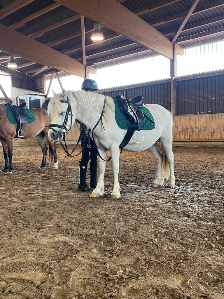 AnyConv.com__dylen (1)