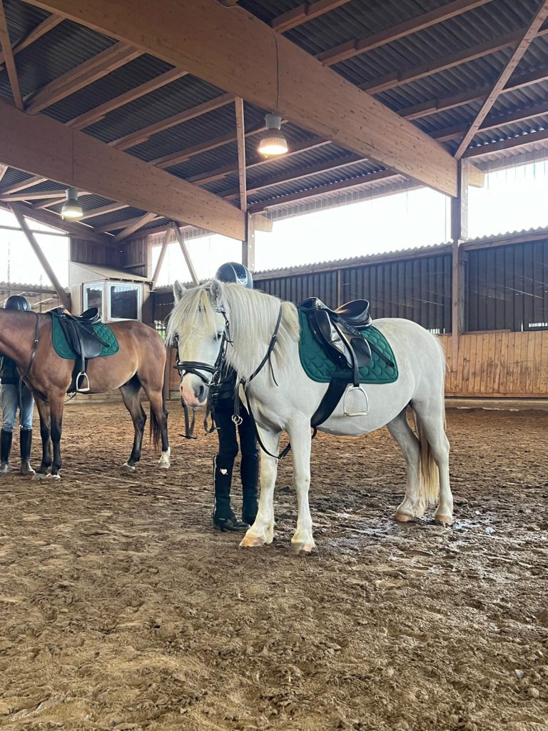 AnyConv.com__dylen2 (1)