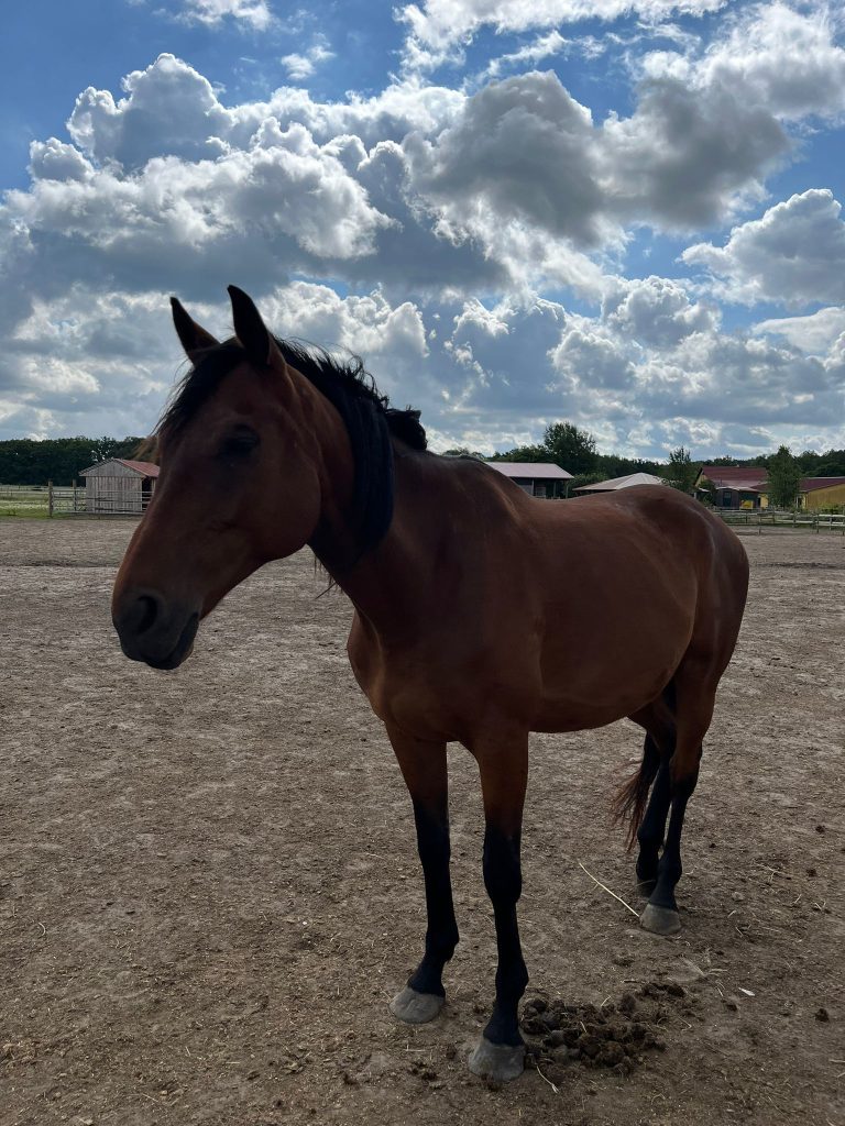 AnyConv.com__ebbfd331-5cc7-4f78-a453-c8d1cffc6bd7