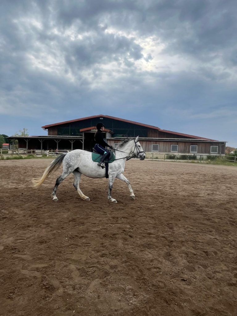 frida mit coolen hintergrund