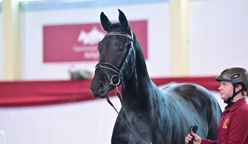 WhatsApp Image 2025-01-17 at 19.04.16 (1)