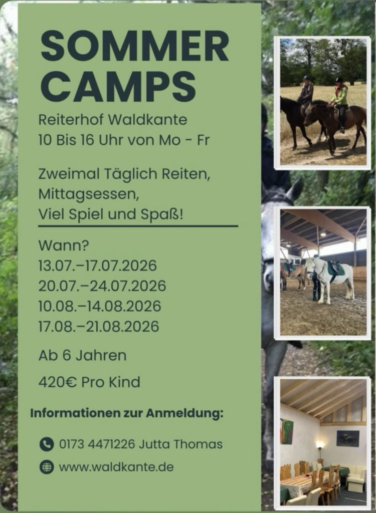 IMG_1638-750x1024 Sommercamps 2026