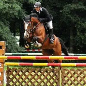 torsten Team
